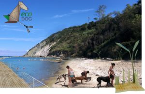 ecodog spiaggia